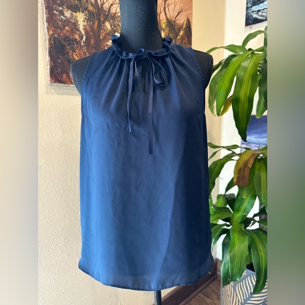 EUC VIOLET + CLAIRE  sheer Sleeveless Ruffle neck dark blue M
